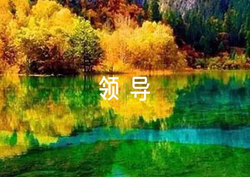 如何在有限时间内最大化篮球训练效果的策略_0