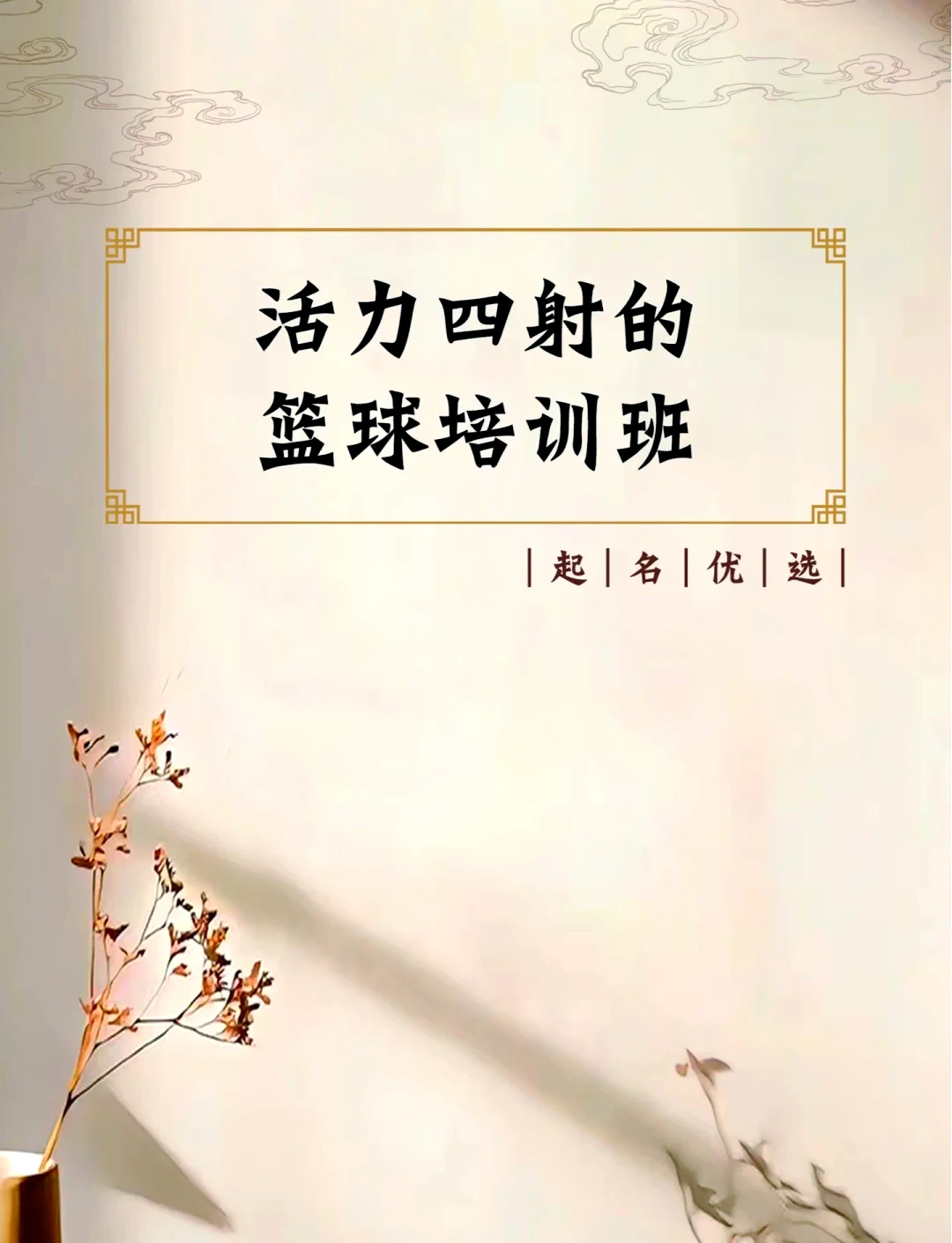 篮球训练营中试训的表现评估方法_0